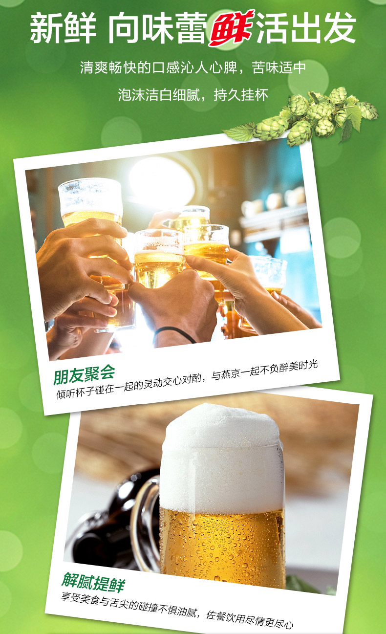 燕京啤酒 10度鲜啤 500ml*18听 图8