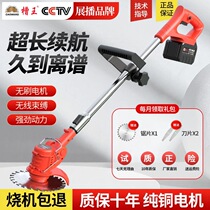 Slot king German electric lawn mower small household weeding and grass artifact Agricultural lithium battery charging artifact fully automatic