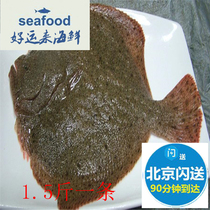 Beijing flash fresh and live multi-treasure fish about 1.5 pounds of flounder 2 pounds  