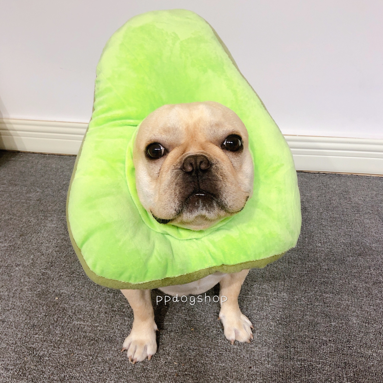 Selling Cute Protection Dual-use Cow Oil Fruits Pet Headgear Anti Licking Elizabeth Circle Funny Items Ring of the Wind Photo Shoot