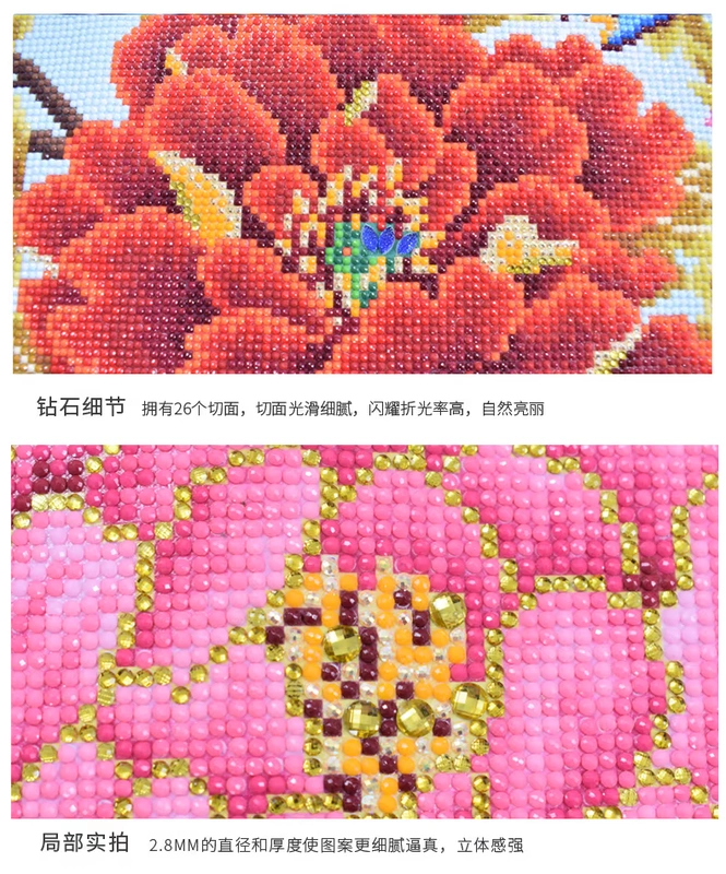 5d kim cương hình khoan phòng khách mới sơn hoa giàu Peacock Gia đình Harmony Chữ thập Stitch dán 2019 điểm - Công cụ & phụ kiện Cross-stitch bán tranh thêu