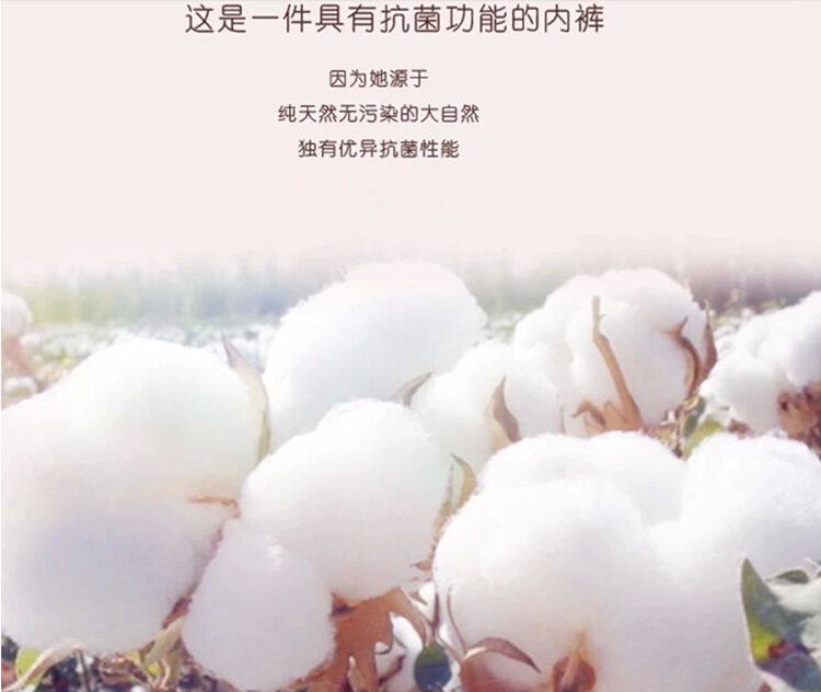 Slip jeunesse en coton - Ref 643809 Image 12