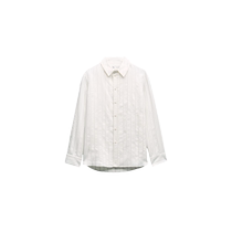 ZARA24 spring new pint womens dress ZW series bright light streaks sashimi 2328544104