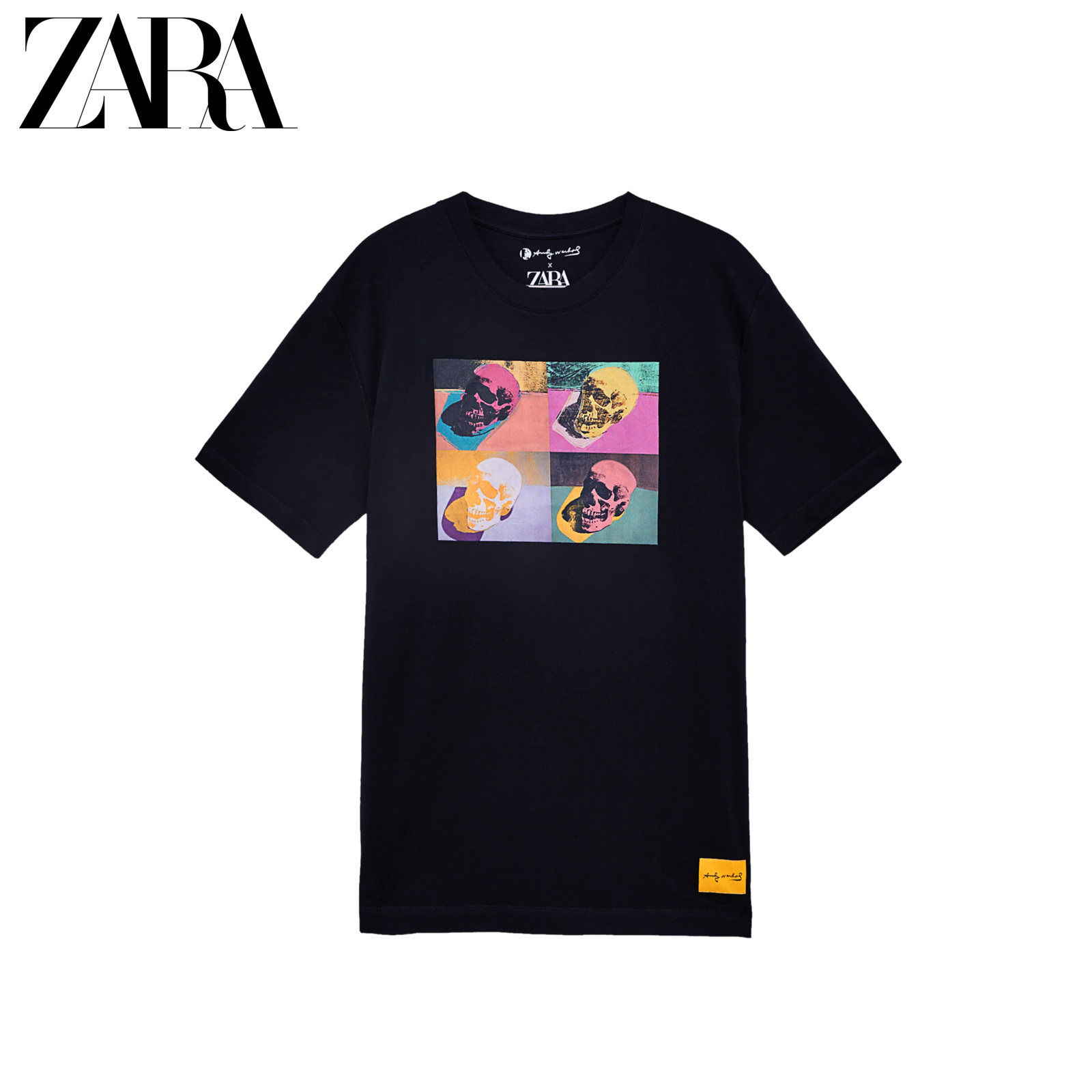 andy warhol zara
