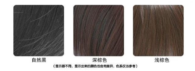 Perruque cheveux raides Court - Ref 2609379 Image 10