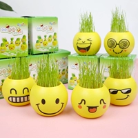 20 горшечных горшечных растений в горшках для горшков