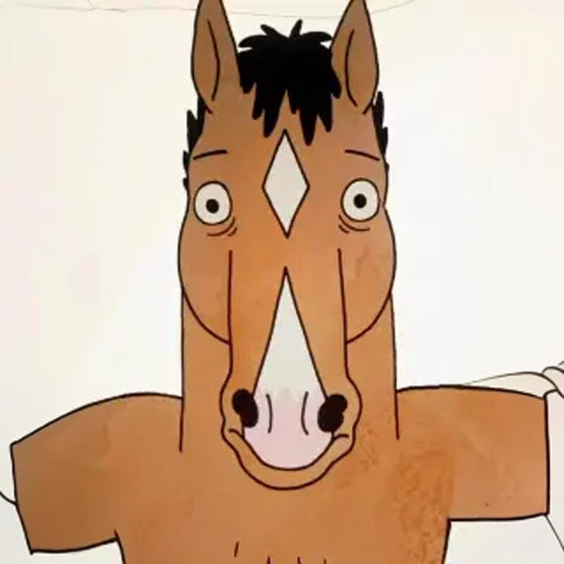 一条波杰克的马