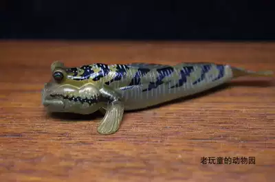 絕版日本yujin出品原色淡水魚圖鑑2代改訂版單賣 銀身彈塗魚