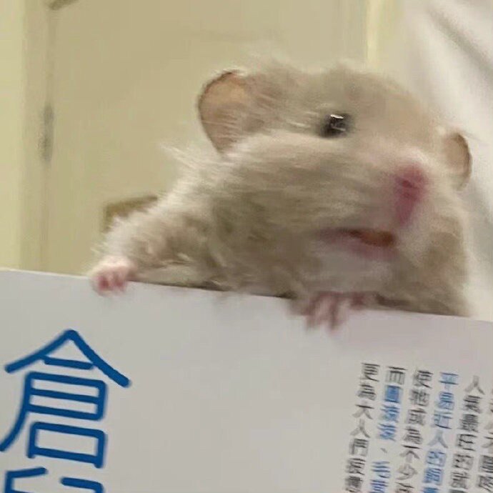 毛卷卷卷