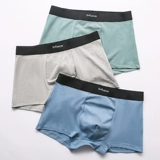 Летние комфортные хлопковые дышащие трусы, сексуальные штаны, шорты