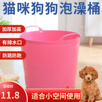 Pet Chien Chien pour chiens Tub Bain bain bain de bain Tub Teddy Kirky Bath Tub Bath Tub Bucket Bucket Bath baignoire