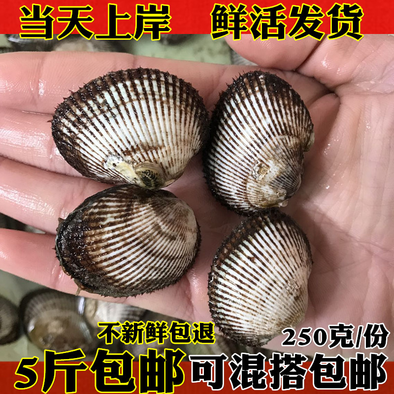 Seafood, aquatic products, fresh hairy clams, fresh blood clams and shellfish