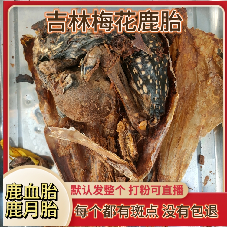 Plum Blossom Deer Deer Fetal Capsule Deer Tire Powder Whole Jilin Deer Fetal Pan Deer Paste Nourishing Woman Womb Menstruation-Taobao