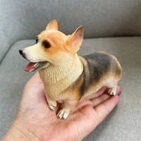 Большой корги