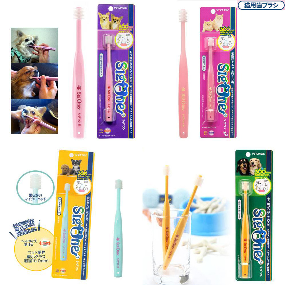 Japan Imported Pet Dog Dog Kitty Toothpaste Toothbrush Puppies 360 Degrees Ultra Fine Soft Hair Clean Tooth Scale Anti-Calculus