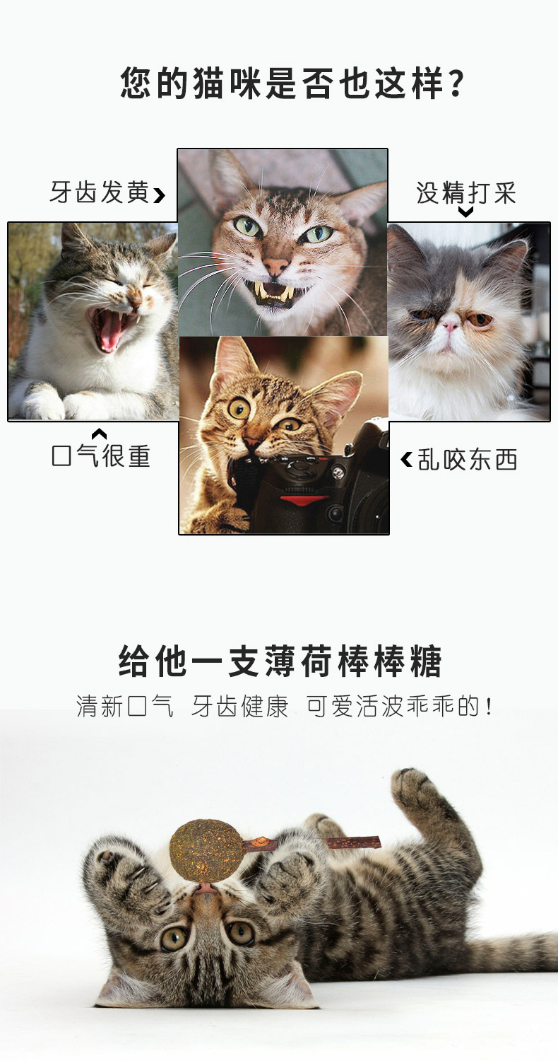 Mèo ăn nhẹ catnip kẹo mút 舔舔 le làm sạch răng hàm dính ngoài hôi miệng mèo cỏ gỗ bọ cạp cắn mèo vui hạt nào tốt cho mèo
