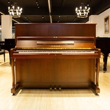 Япония импортировала Yamaha Yamaha W101BW/W102BW/W110BW/W120BW/W107BRBT PIAIO