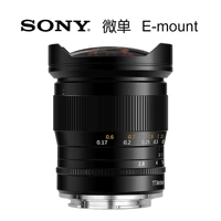 Беззеркальную зеркальную камеру Sony с байонетом E использовать нельзя.