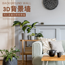 Net Red anchor Direct Sowing Room Background Wall Decoration Brief Atmosphere Photo Photography Background Cloth 3D Solid Personality Creativity