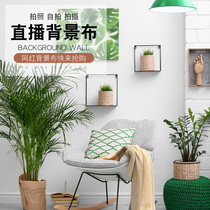 Direct sowing room decoration background cloth male and female anchor bedroom photo-ins wind hanging cloth 3D stereometric atmosphere shooting video
