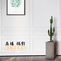 Direct sowing room decoration background wall 3D stereometric minimalist atmosphere photo photography background cloth shooting indoor ins hanging cloth