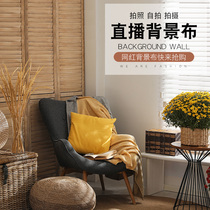 Net red anchor live broadcast with cargo background cloth 3D stereometric minimalist atmosphere movable background wall photo photography hanging cloth