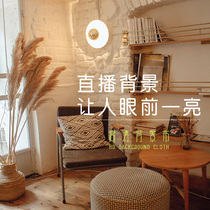 Live background cloth Decorative Bedroom Net Red Anchor hanging cloth 3D Solid-ins minimalist photoshoot Photographic Props Wall Cloth