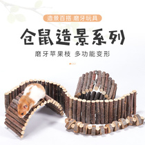 Hamster landscaping supplies apple branches sprigs chinchas Golden Bears special decorative molars edible branches