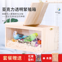 Xuanfeng Parrot bird special acrylic transparent breeding box tiger skin nest incubator bird cage Accessories Supplies