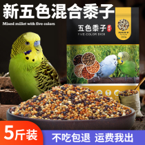 Parrot feed five-color millet millet Millet Bird food tiger skin peony small sun Xuanfeng special bird grain mixed grain 5kg