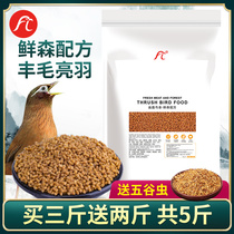 Thrush bird food feed bird feed raise sex singing bird strong nutrition feed thrush special bird grain bird grain bird food Bird material
