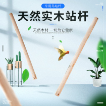 Birdcage plastic station pole wooden station pole tiger skin Xuanfeng parrot starlings bird cage accessories supplies station stick