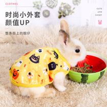 Rabbit clothes Dutch pig dwarf rabbit pet rabbit supplies small mini cute rabbit warm winter clothes