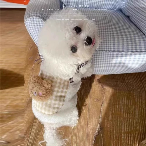 Кошачья одежда кармана медведь зима теплое анти -последовательное разбитое кошачье кошка кот кот -кот -китет