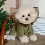 Одежда для собак на осень и зиму, новая утолщенная теплая шнауцер Тедди Померанский шпиц Бишон Фризе Щенок VIP Pet Йоркшир