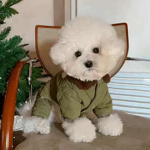 Одежда для собак на осень и зиму, новая утолщенная теплая шнауцер Тедди Померанский шпиц Бишон Фризе Щенок VIP Pet Йоркшир