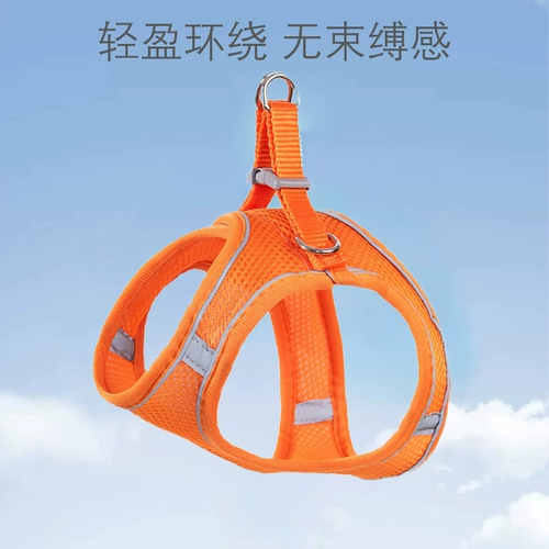 Детка в стиле собак в стиле летающая грудь маленькая и средняя собачья повод