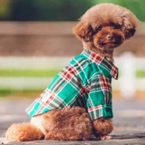 Одежда для собак весенне-осенняя энергичная рубашка летняя для маленького щенка Тедди Бишон Померанский шпиц кошка против линьки