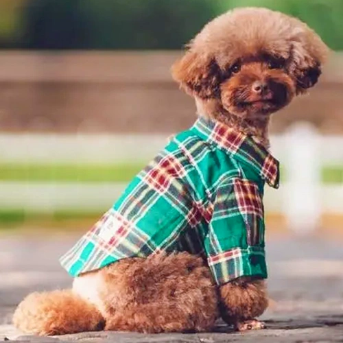 Одежда для собак весенне-осенняя энергичная рубашка летняя для маленького щенка Тедди Бишон Померанский шпиц кошка против линьки