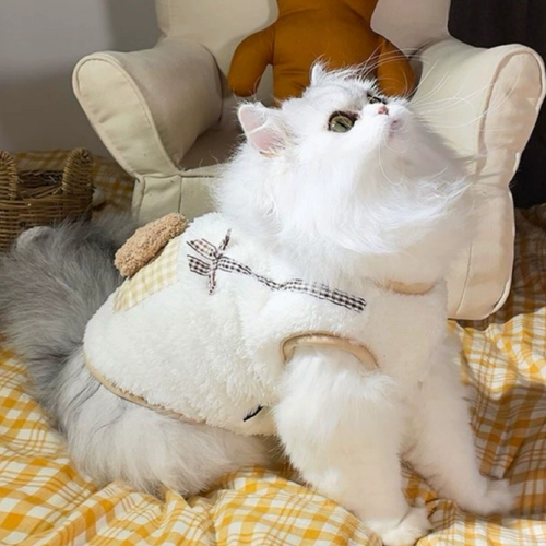 Кошачья одежда кармана медведь зима теплое анти -последовательное разбитое кошачье кошка кот кот -кот -китет