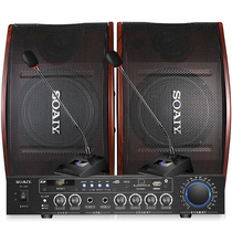 Solove CK-M5KTV Acoustics Suit Bluetooth Karaoke Speaker Conference Stage Speaker Home Theater Speaker