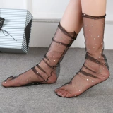 Взрыв женская ультра -ультра -тонкая модная сетчатая куча пряжи новые кружевные чулки ледяные шелковые кружевные носки Прозрачные сетевые носки