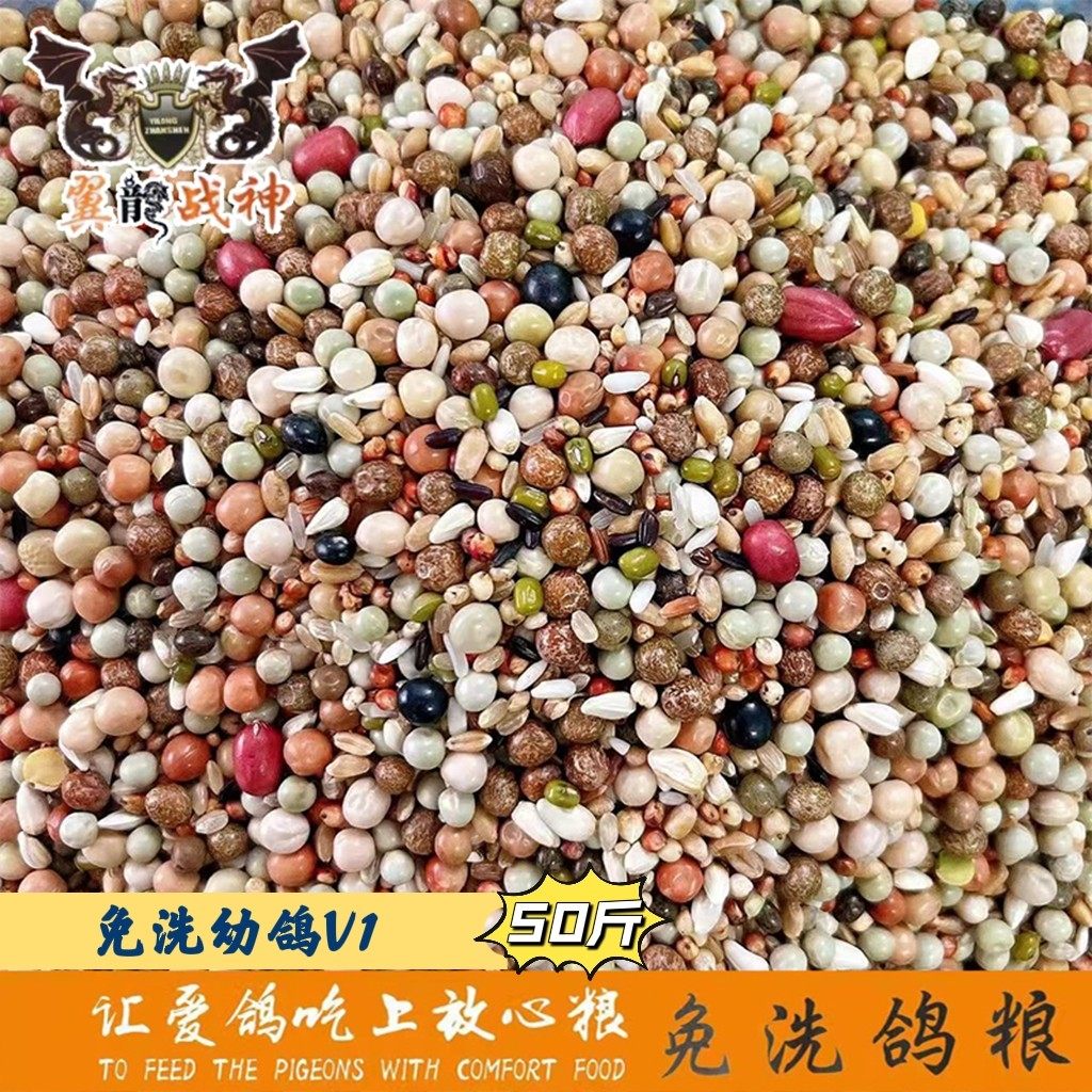 Wing Dragon Warrior God Peanut Young Dove Grain v1 No Corn Pigeon Grain Letter Pigeon Feed 50 catty