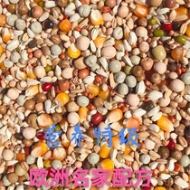 The Lord Dragon Nutritional Special Stage Racing Pigeon Special Dove Grain Letter Pigeon Feed 5 Kilos