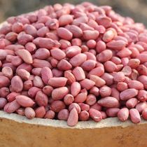 Farmhouse small red skin Peanuts raw new goods four red red clothes peanut kernels pigeon food 5 Jin more provinces