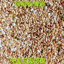 Beijing Tianyou Wanjia pure rice clearing pigeon food feather changing pigeon food racing pigeon feed bird food 50 catties