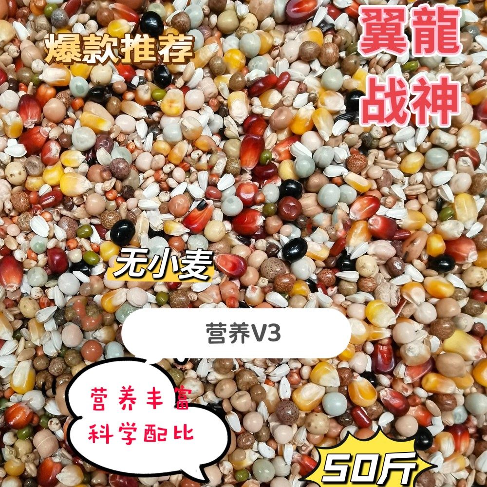 Wing Dragon Warrior God V3 Nutrient Dove Grain With Corn Pigeon Grain Seed Dove Grain Racing Pigeon Feed pigeon feed 50 kilos