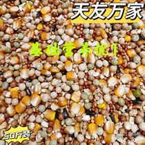 Beijing Tianyou ten thousand Pigeon Food with Corn Nutrient Feed Racing Pigeon Letter Pigeon Bird Food 50 Jin