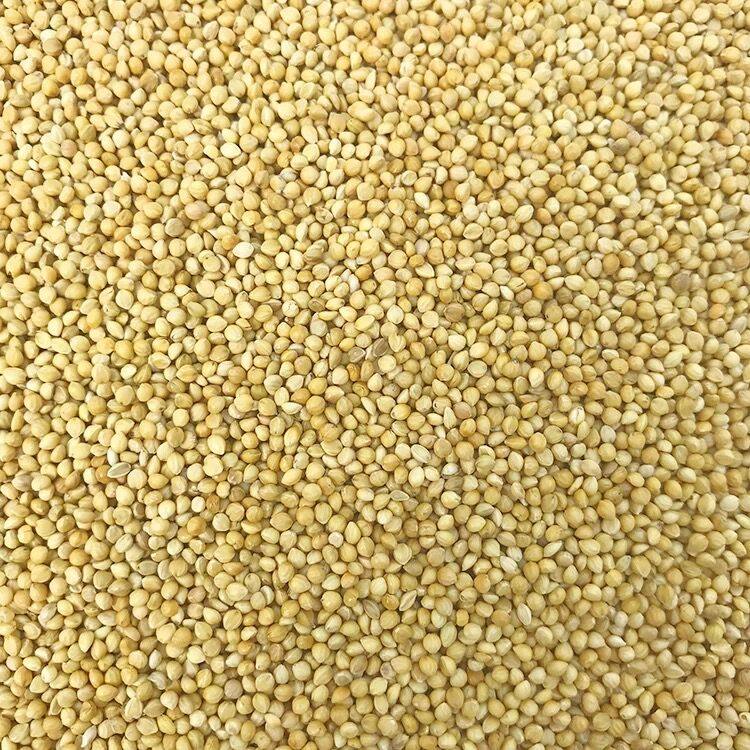 Grade A yellow barn with shell millet millet millet tiger leather peony parrot bird food and bird food pigeon feed 50 kilos