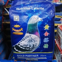 Gold partner racing pigeon Pigeon Viewing Dove Special Health Care Sands Zhejiang and Anhui